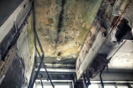 Asbestos and Lead Testing During Mold Inspection in Southport, NC